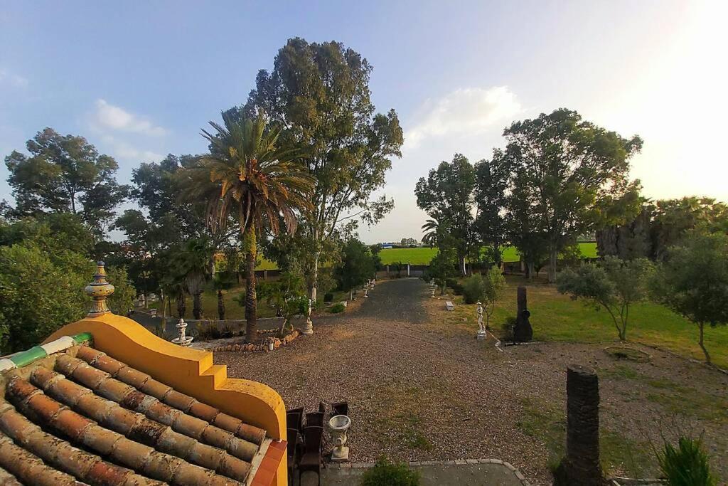 Cortijo San Jose Villa Sevilla Exteriör bild